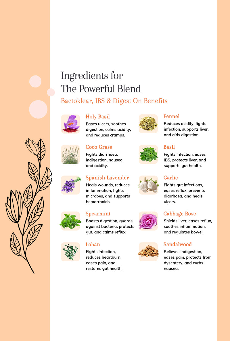 Bactoklear, IBS, Digest ON - Ayurvedic Oil Serums for Gut Wellness