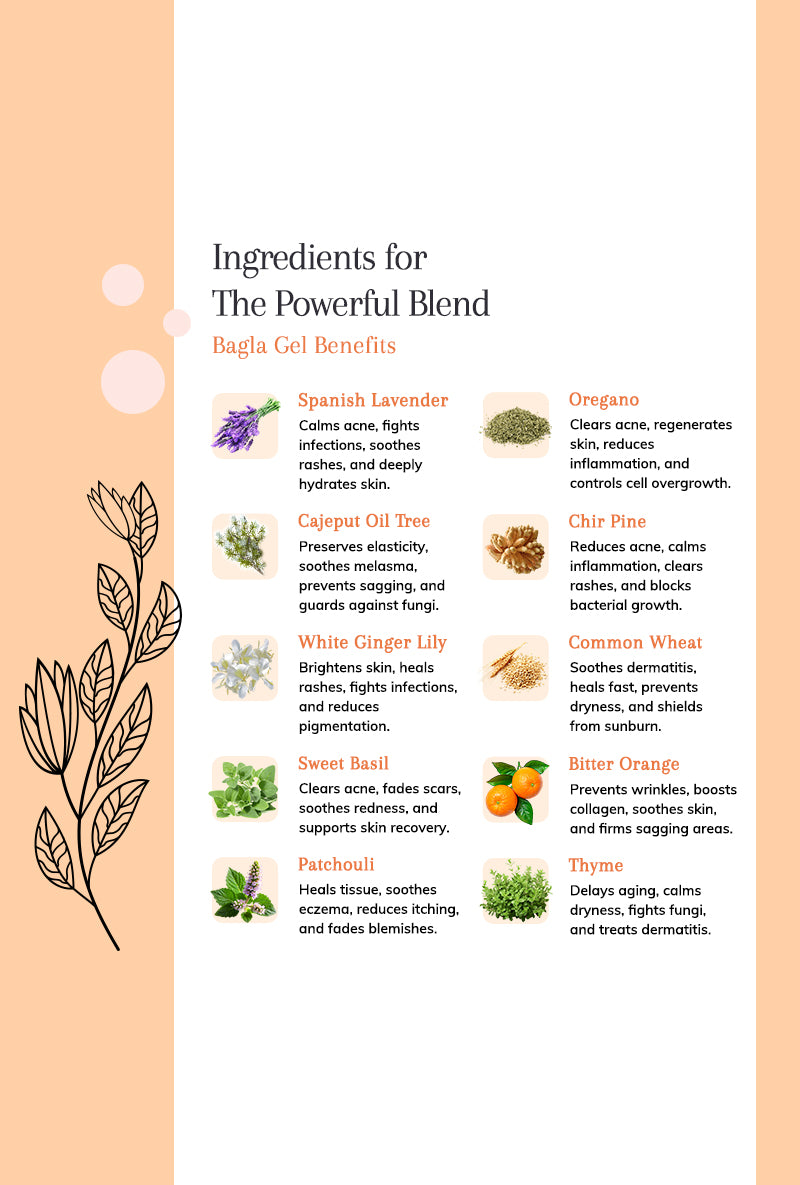 Bagla Gel - Helps Hydrate Skin and Maintain Its Youthfulness.