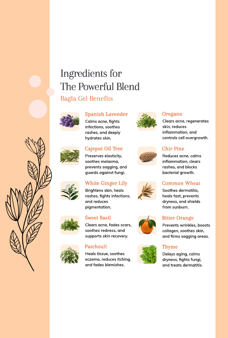 Bagla Gel - Helps Hydrate Skin and Maintain Its Youthfulness.