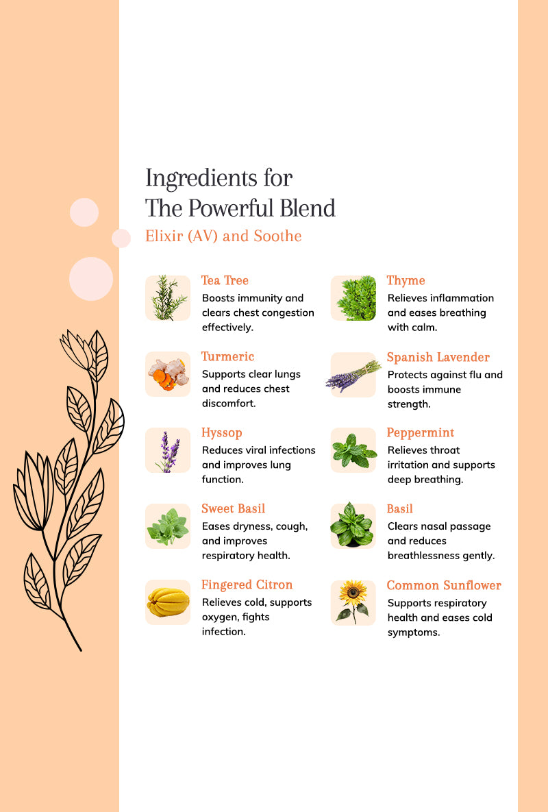 Elixir (AV) and Soothe – Ayurvedic Serums for Chest and Throat Relief