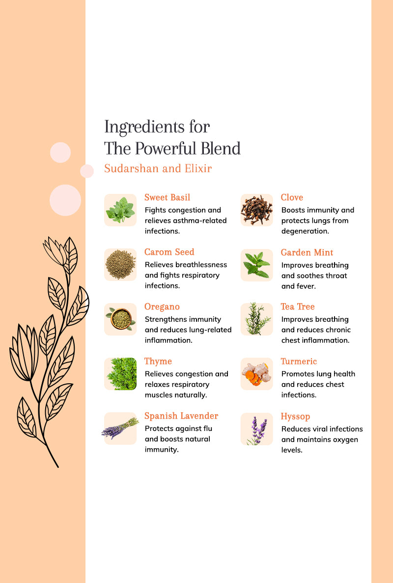Sudarshan and Elixir Support for viral infections, cough and congestion