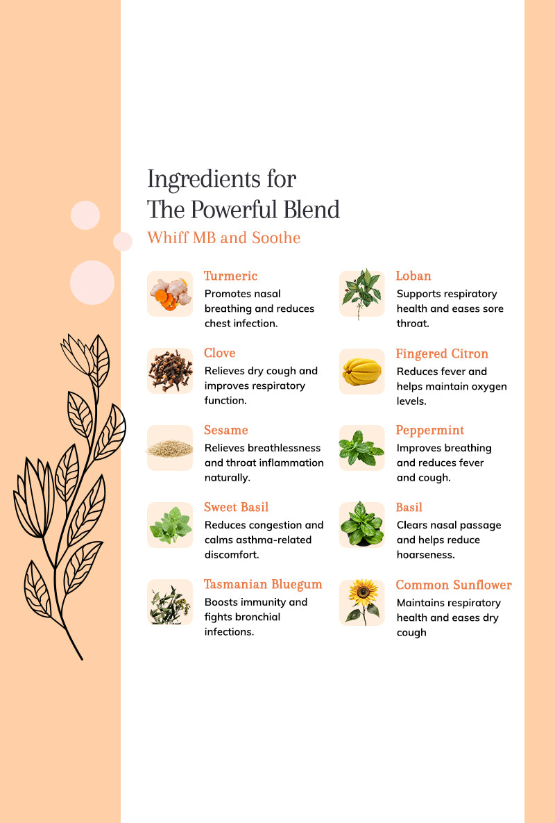 Whiff MB and Soothe Relief from Pollution-Triggered Cough and Respiratory Difficulties