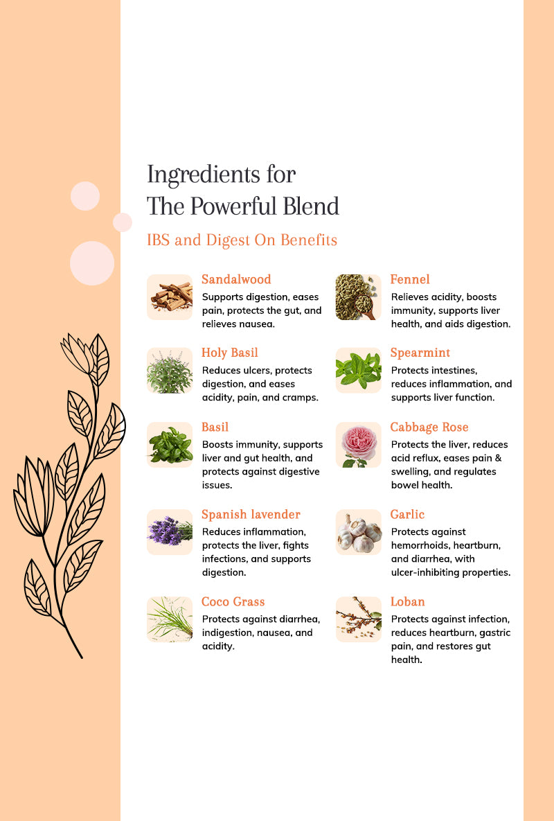 Digestive Wellness Kit - Plant-Powered Support for Digestive Comfort