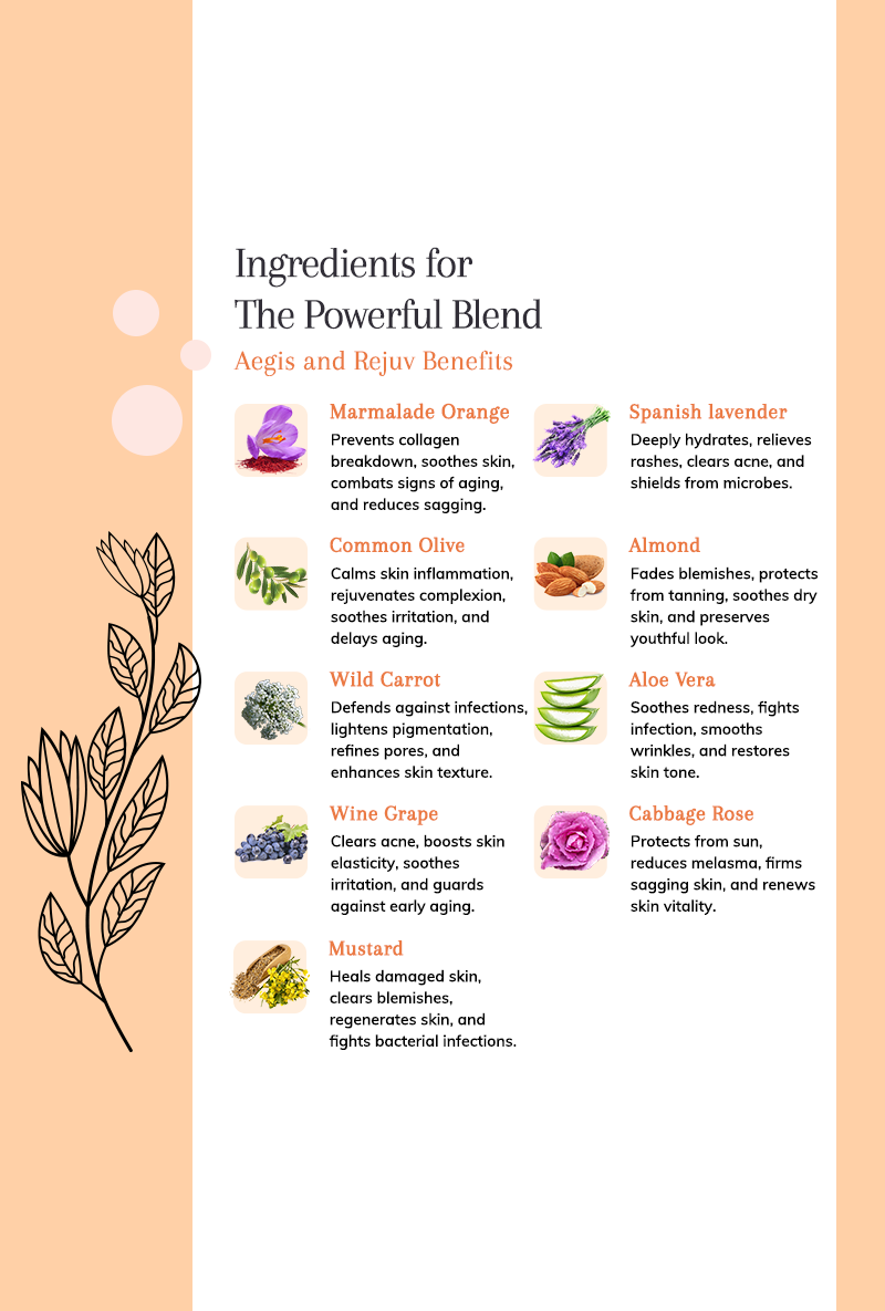Aegis + Rejuv Skin Nourishment - Day and Night Creams