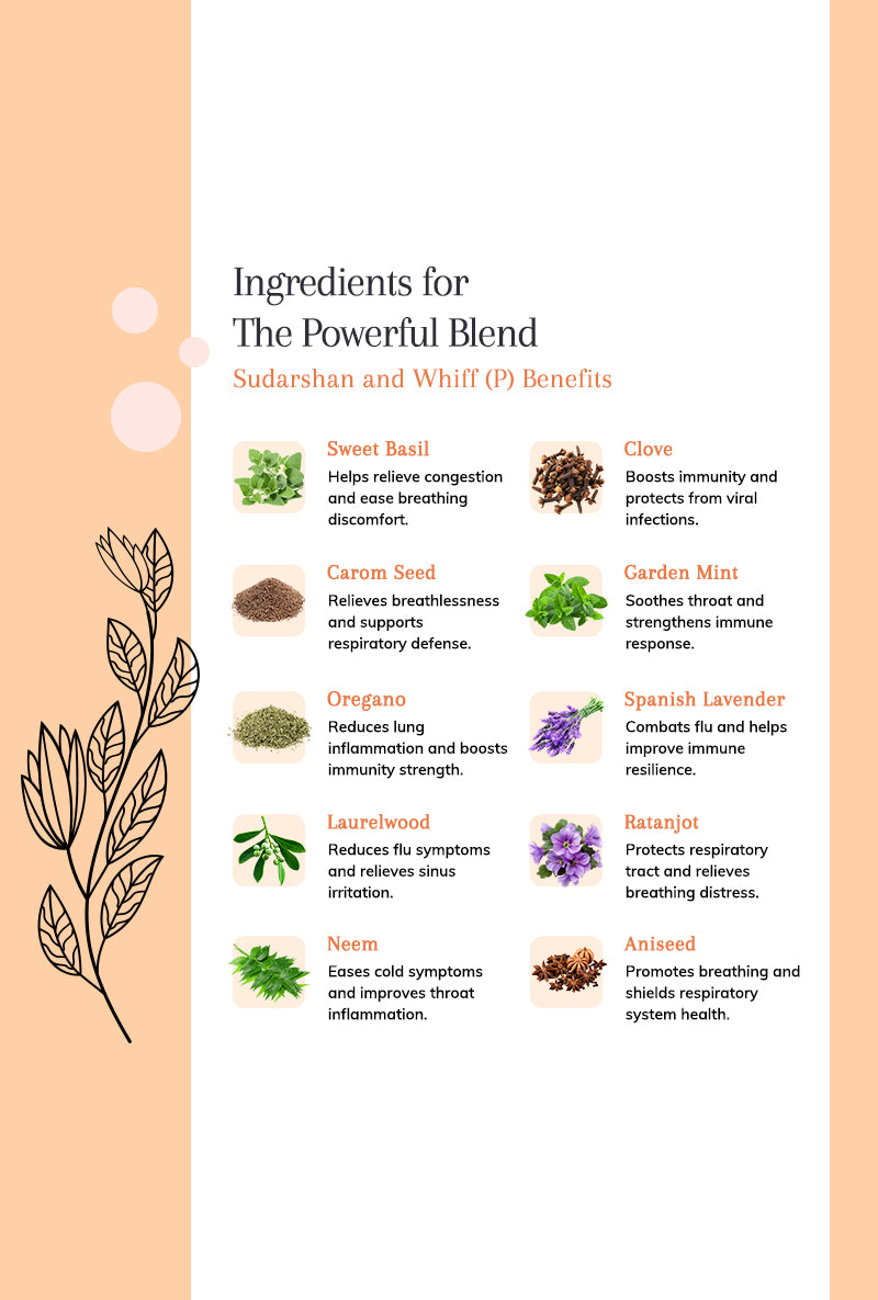 Sudarshan AV and Whiff (P) – Herbal Support for Wellness and Comfort