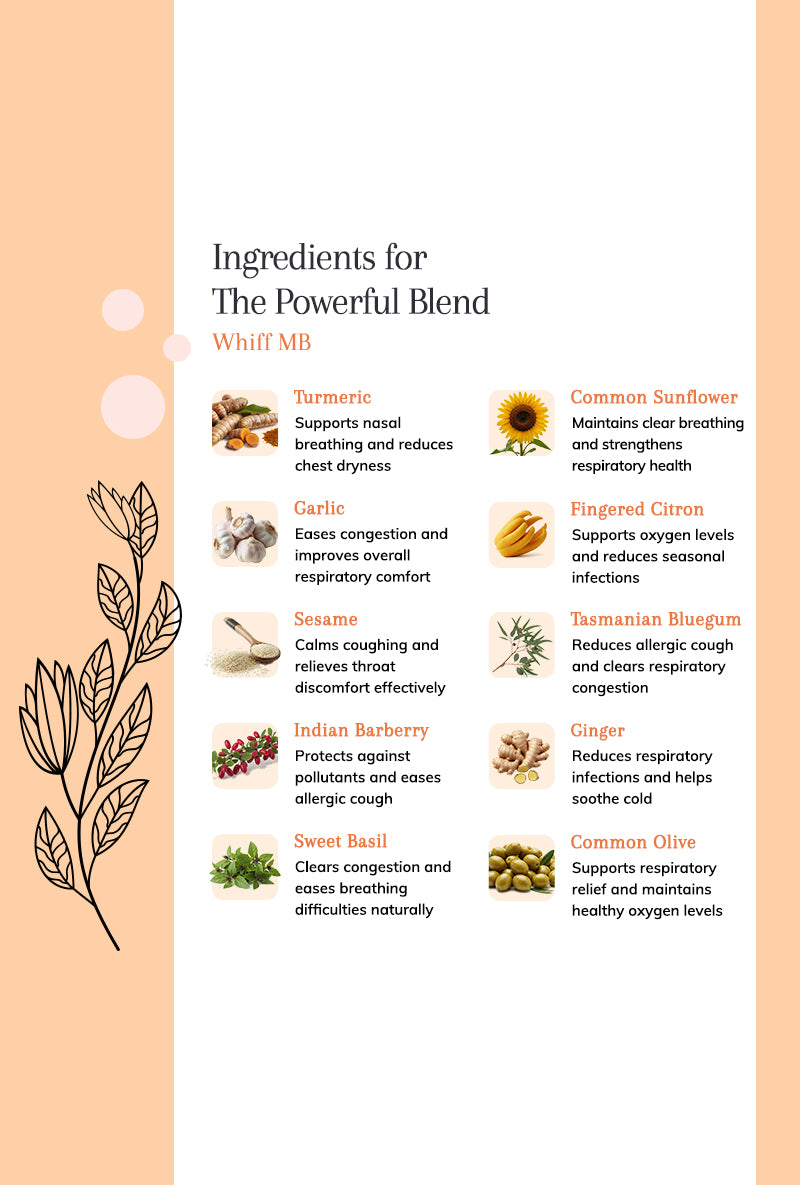 Whiff MB - Pollution Comfort Blend for Everyday Breathing Ease